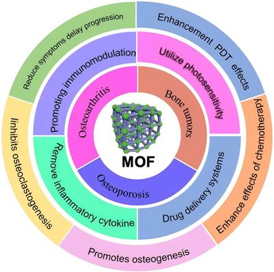 Multiple applications of metal-organic frameworks (MOFs) in the treatment of orthopedic diseases